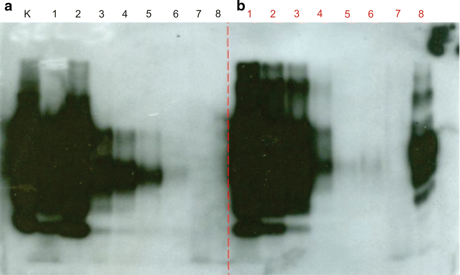 Fig. 7