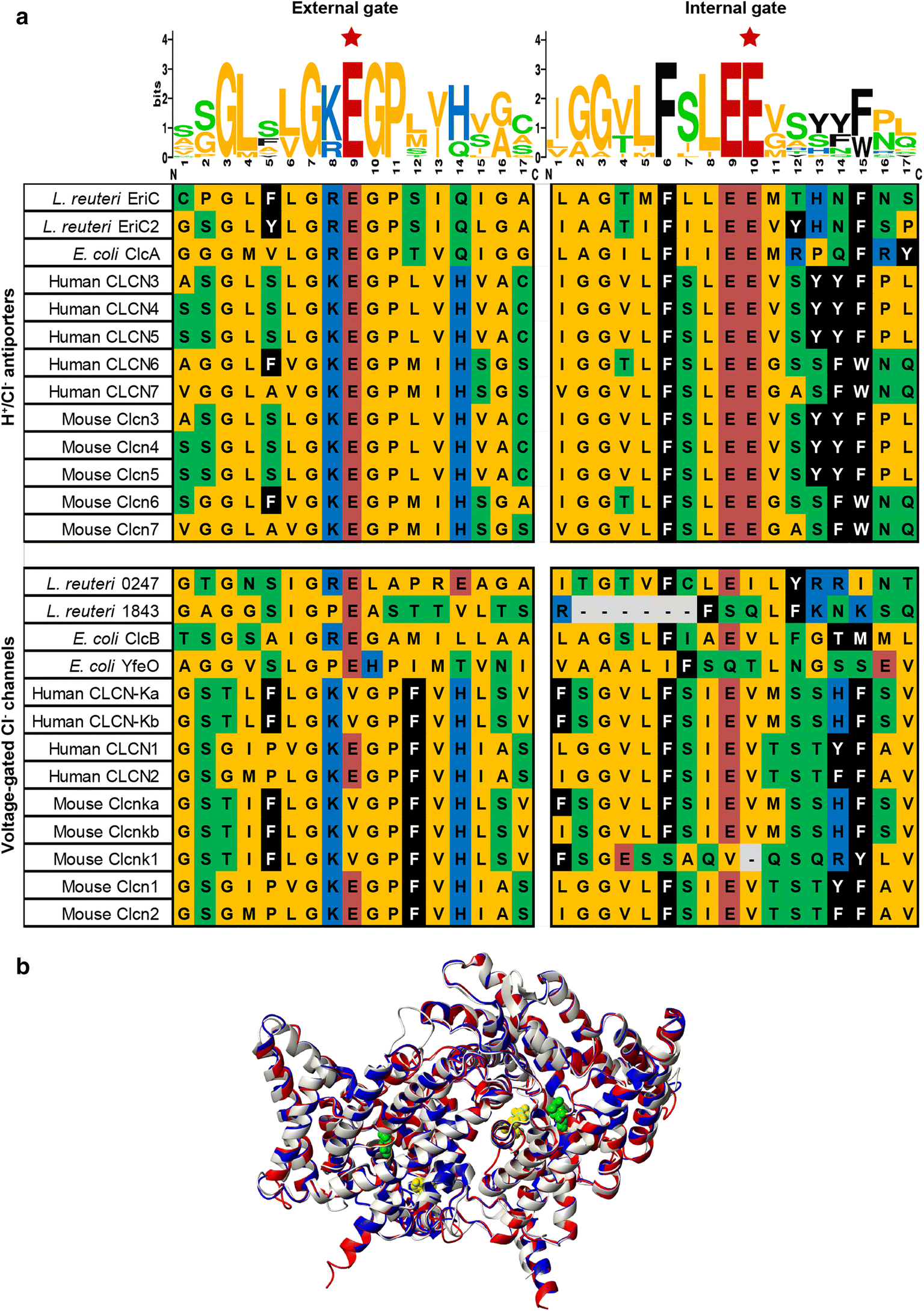 Fig. 2