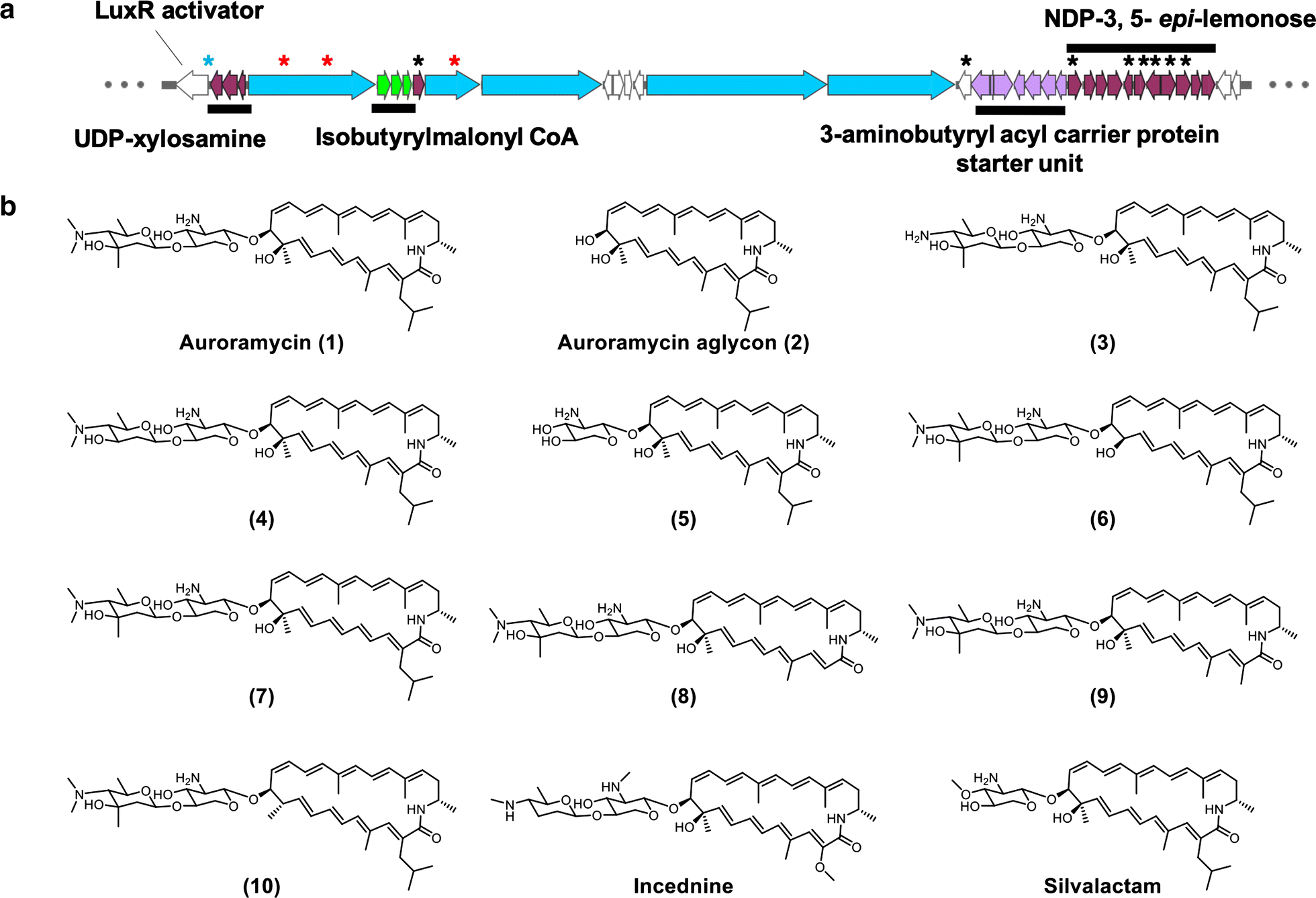 Fig. 1