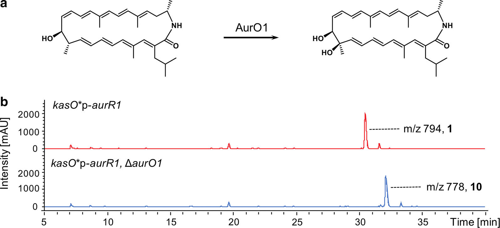 Fig. 5