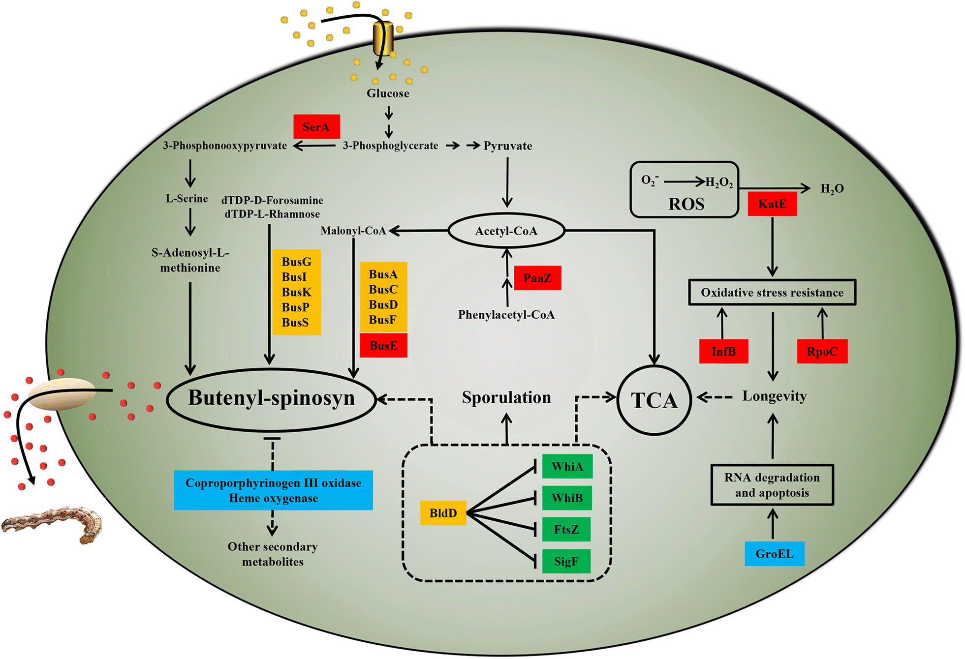 Fig. 7