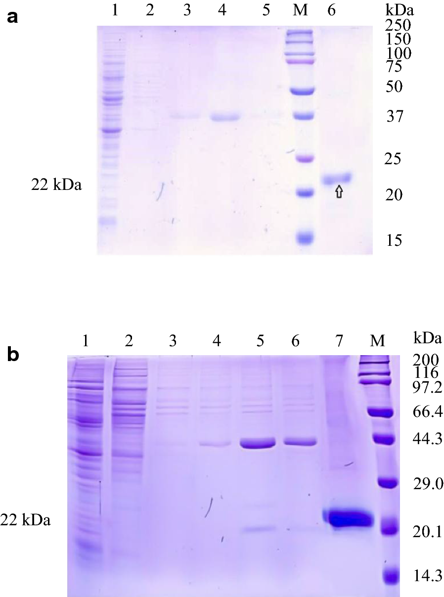 Fig. 8