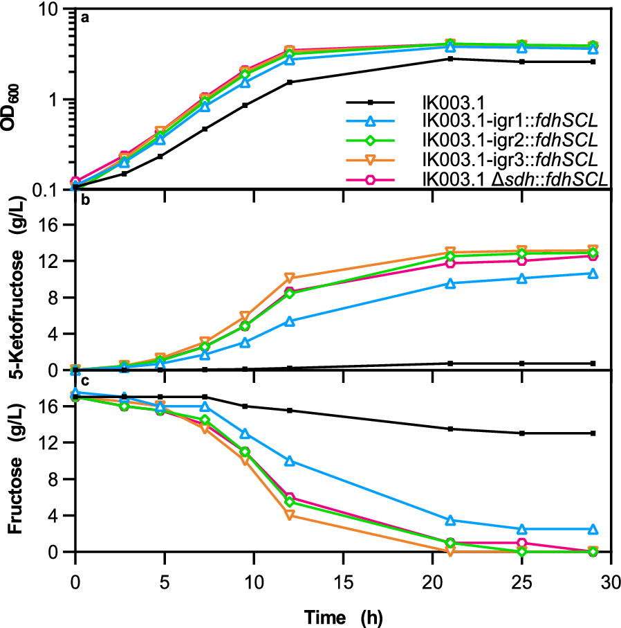 Fig. 2