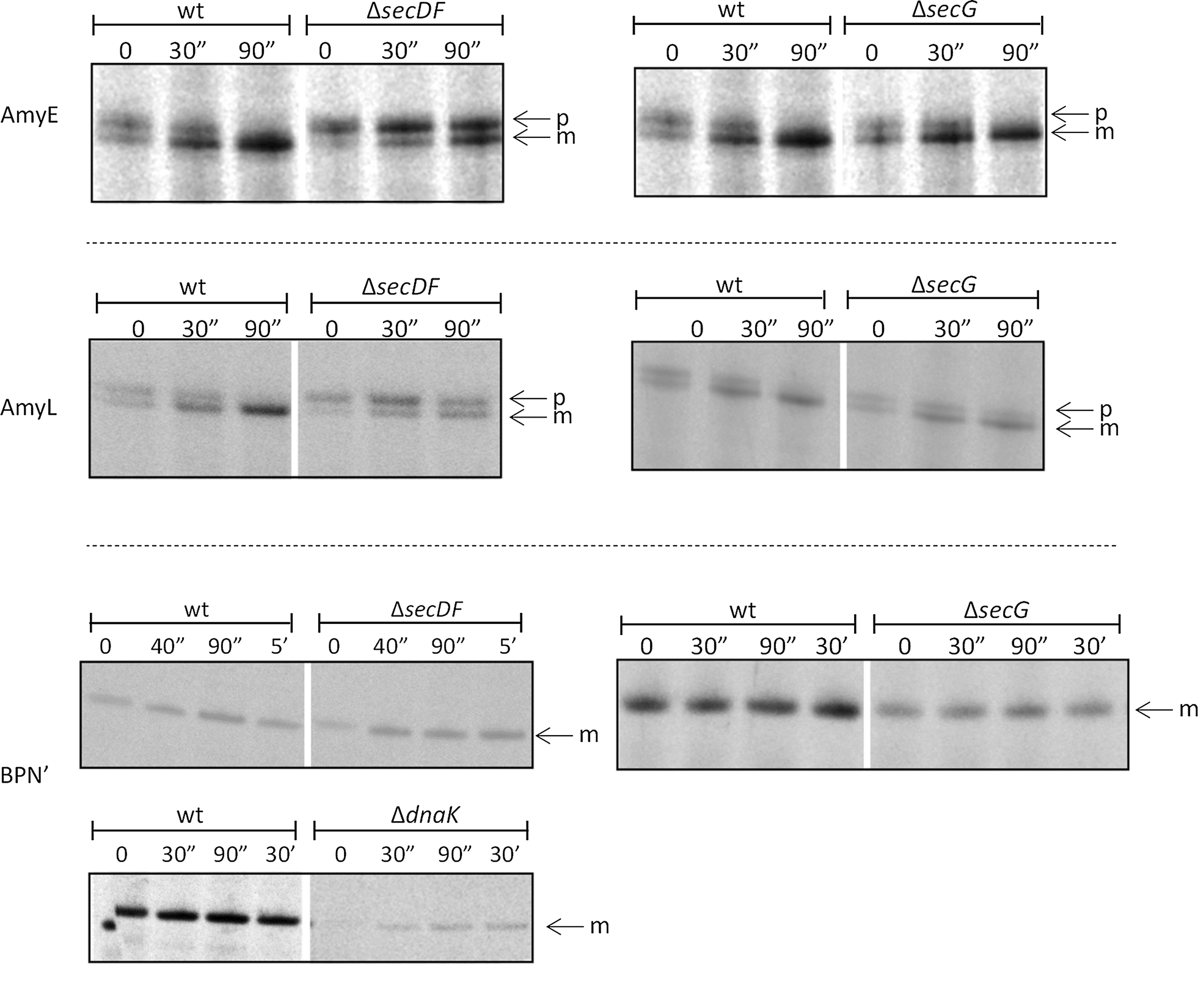 Fig. 4