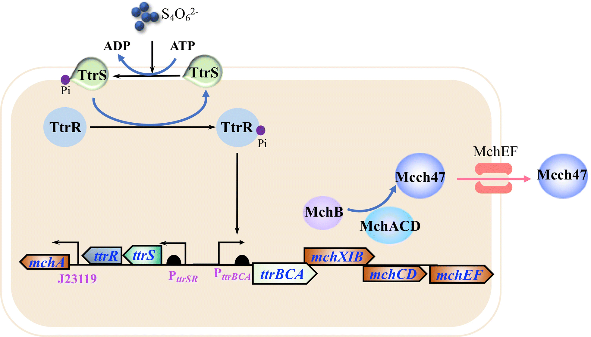 Fig. 2