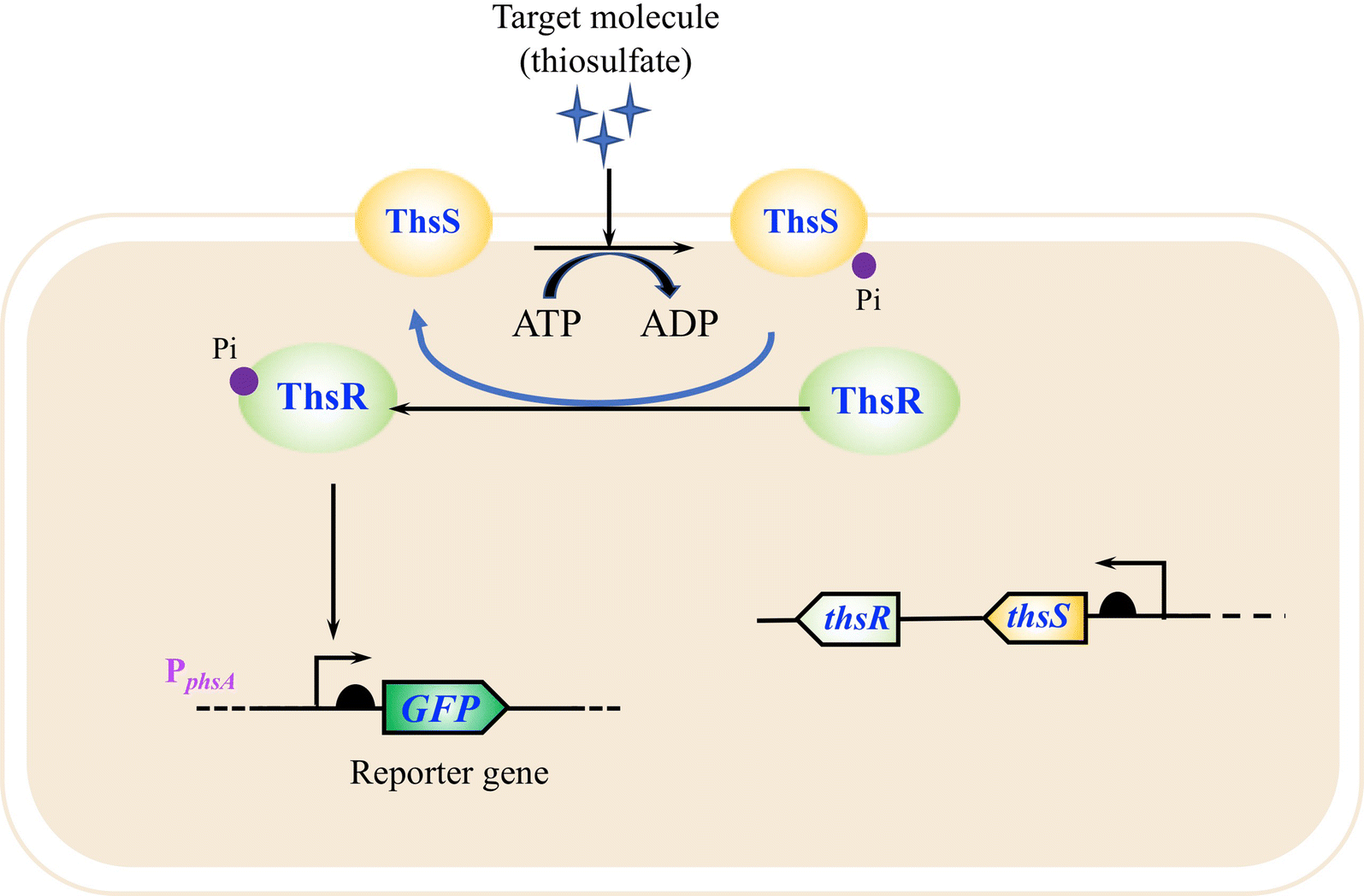 Fig. 4