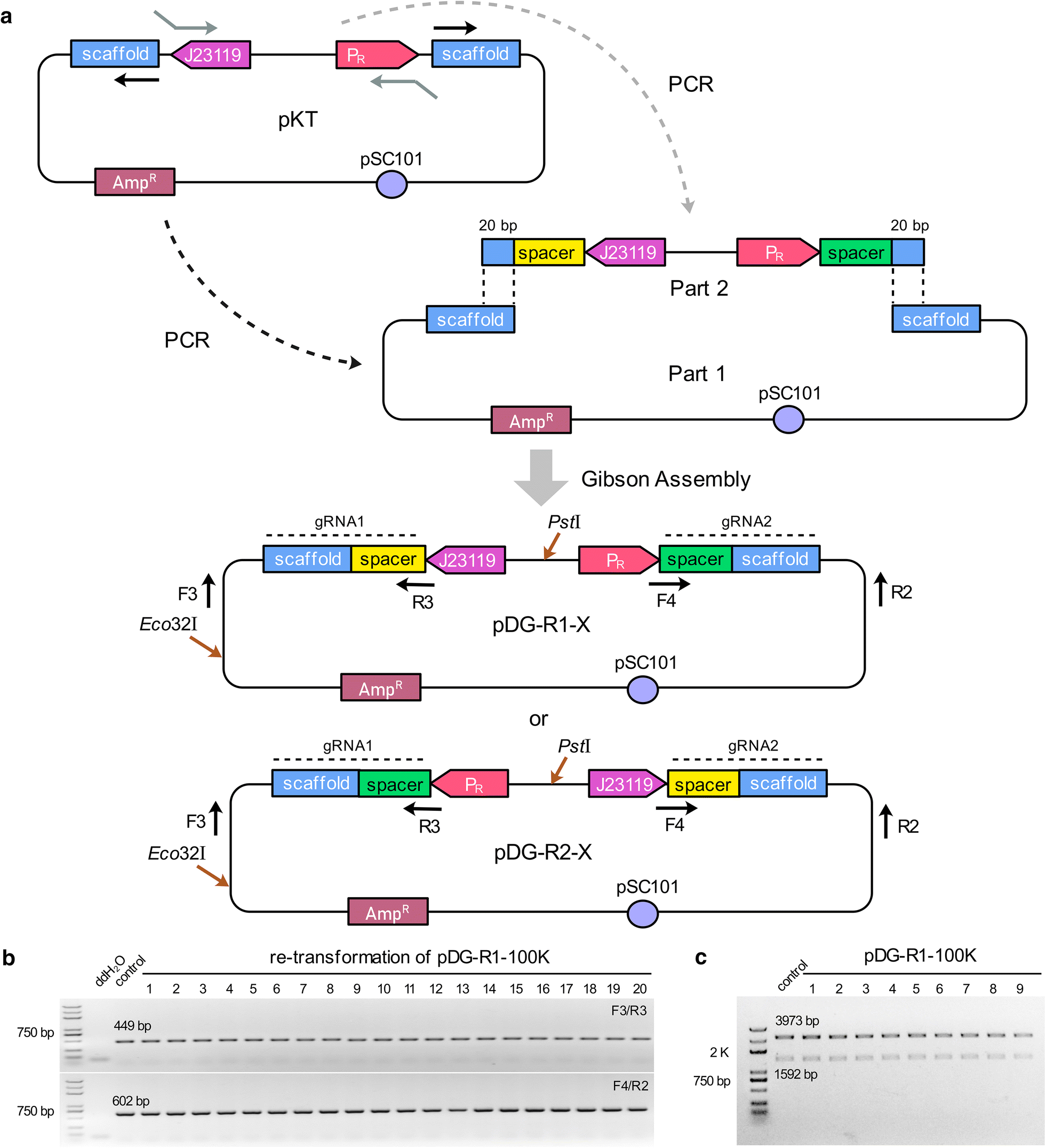 Fig. 5