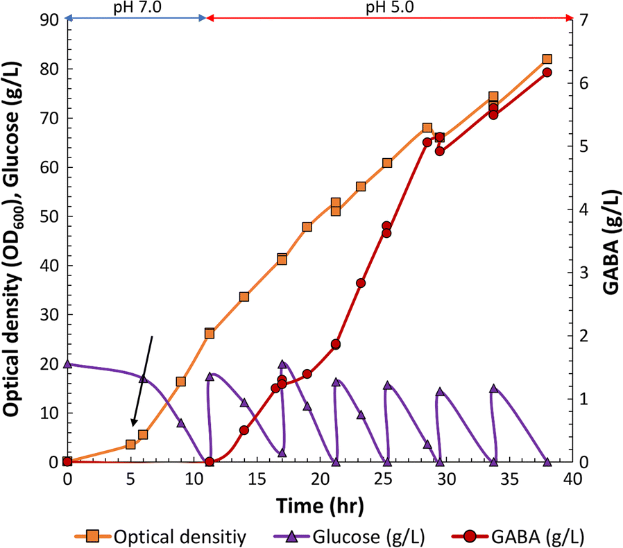 Fig. 6