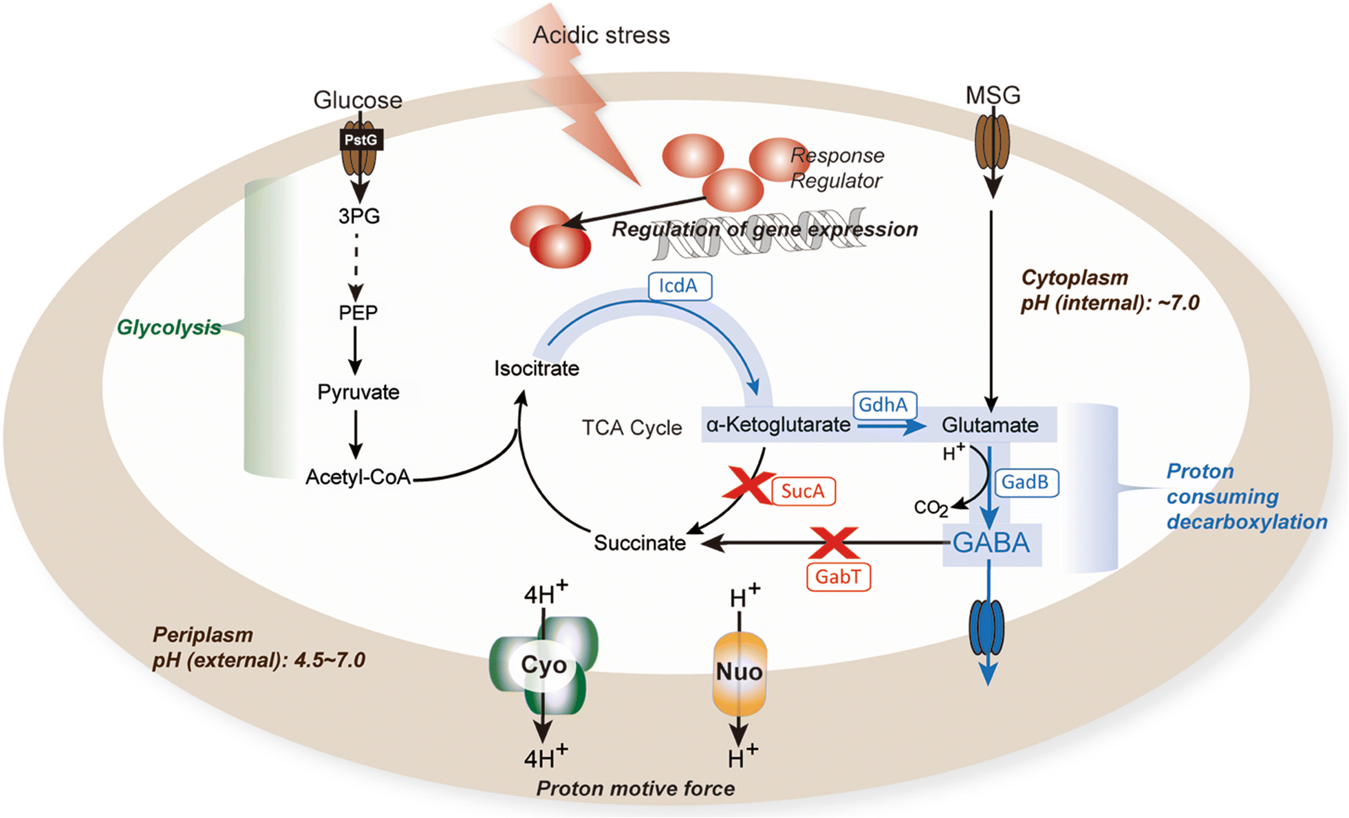 Fig. 7