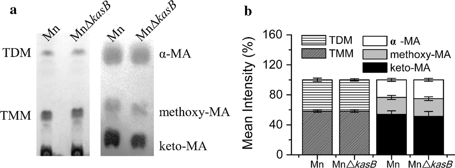 Fig. 3