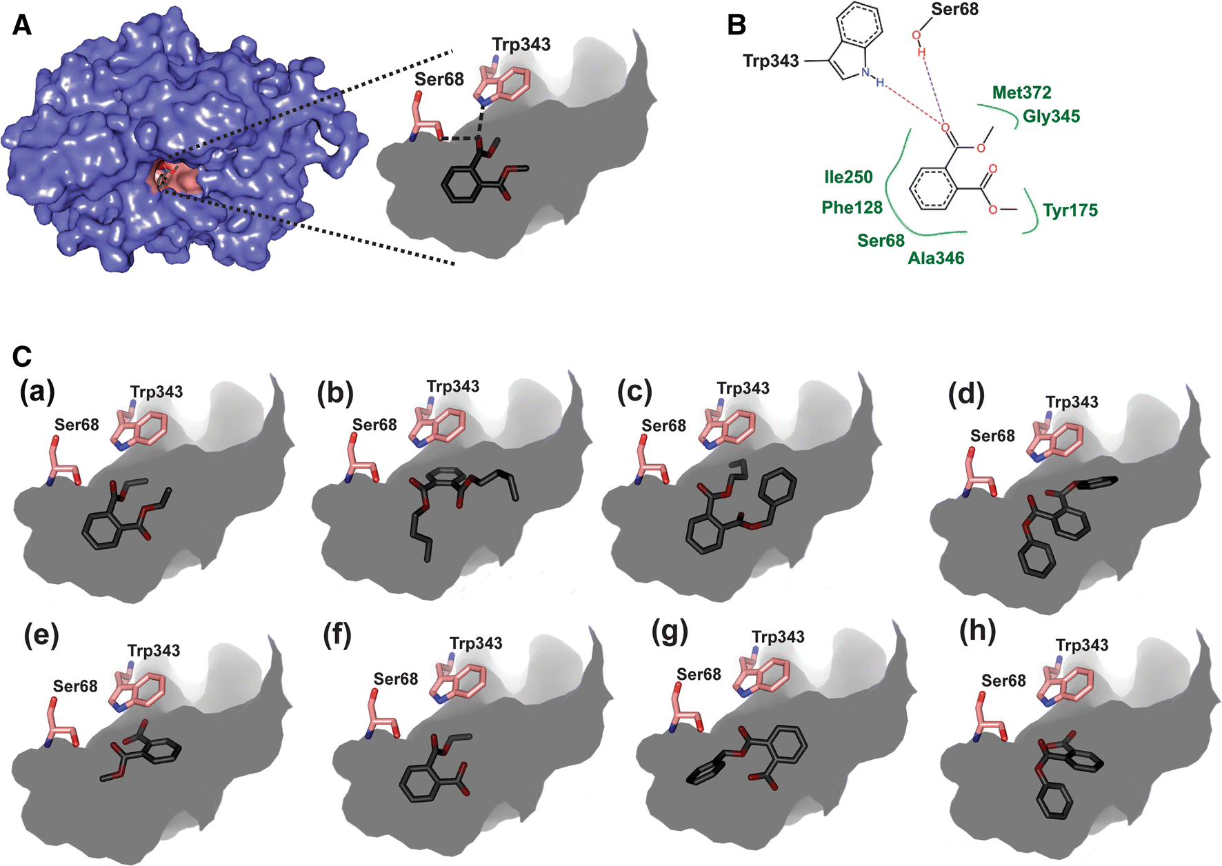 Fig. 4