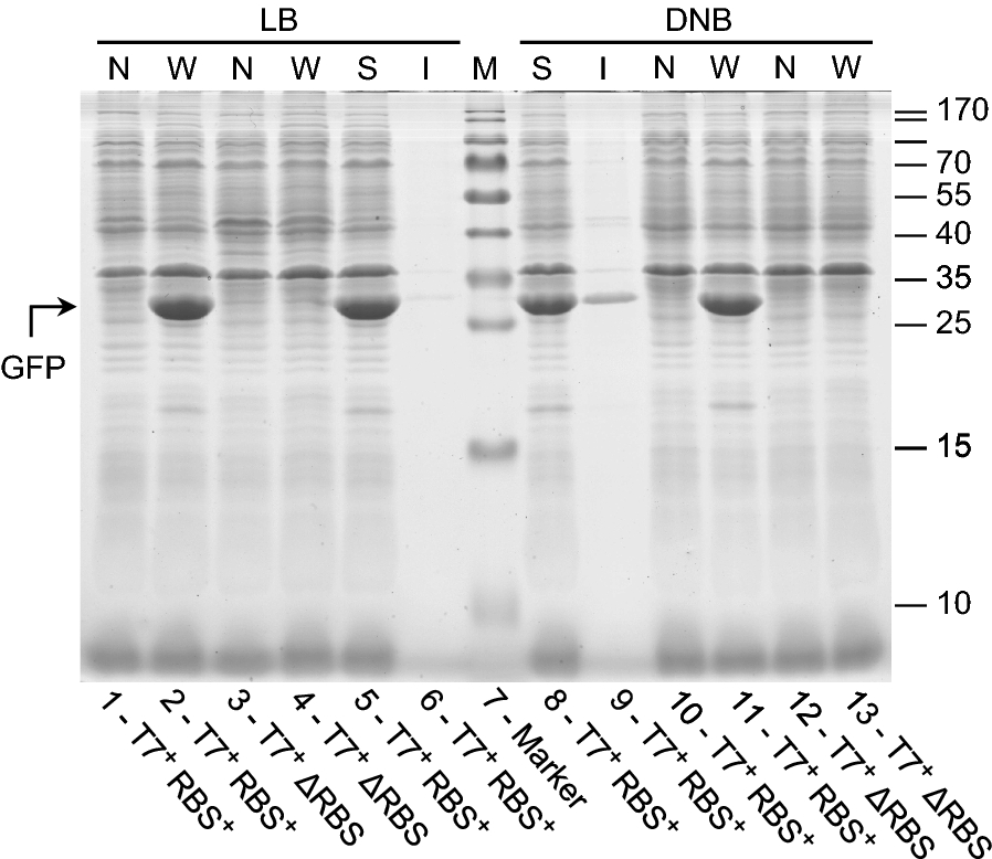 Fig. 6