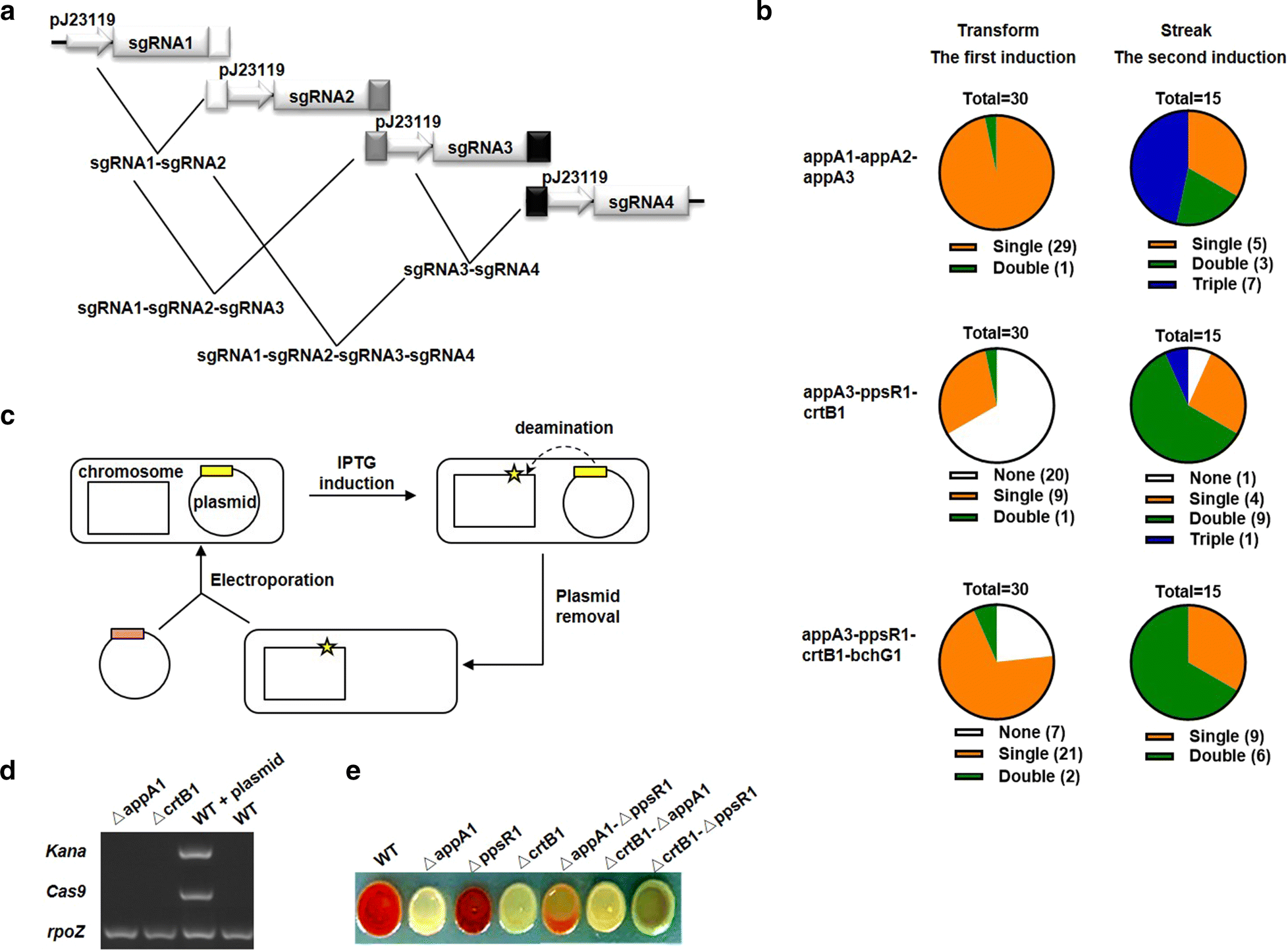 Fig. 3