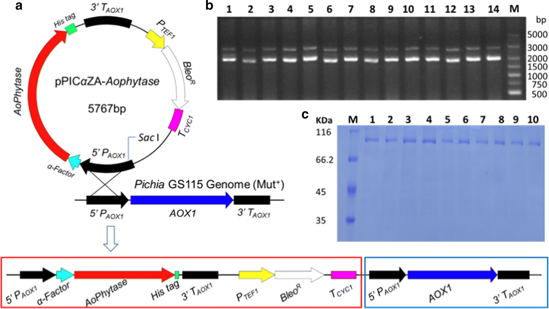 Fig. 3