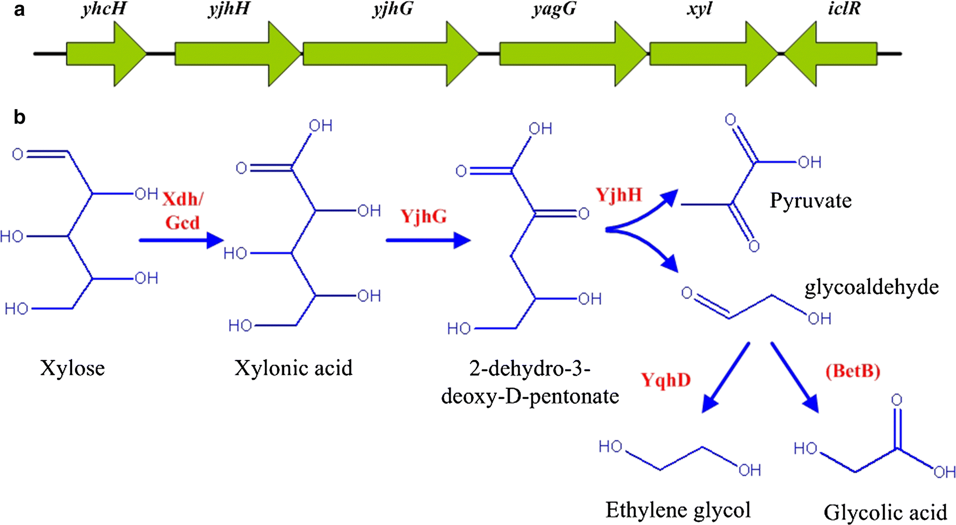 Fig. 1