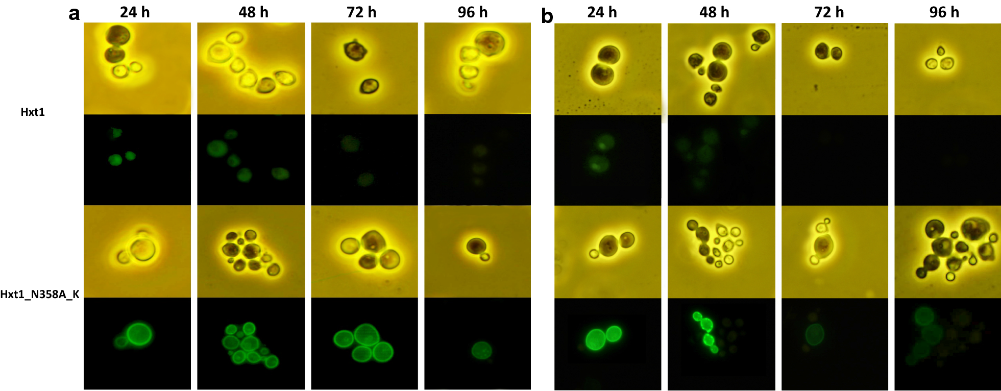 Fig. 4