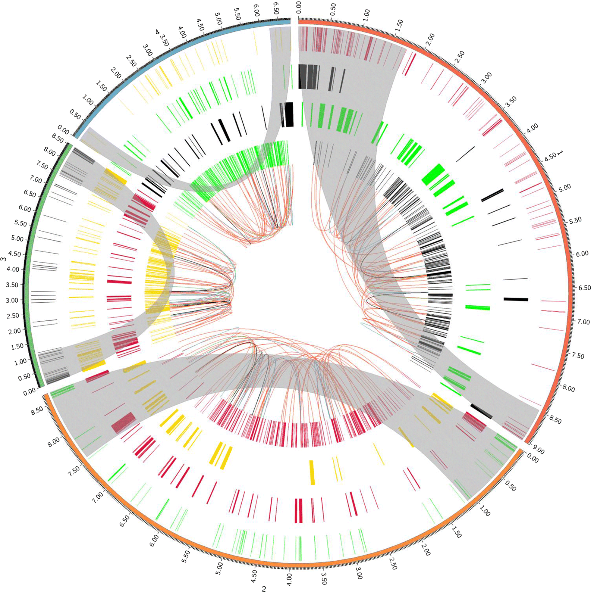 Fig. 6