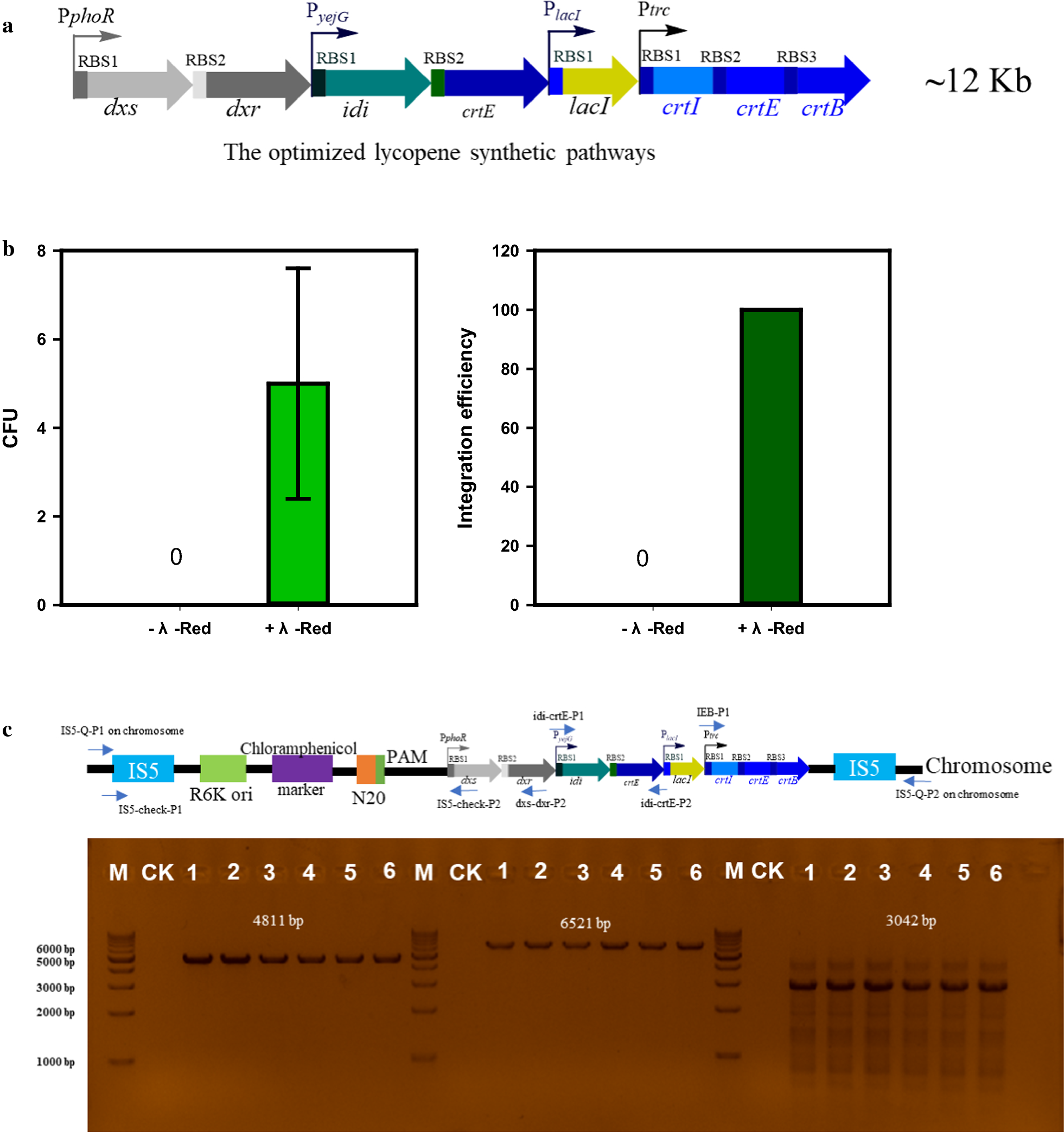 Fig. 4