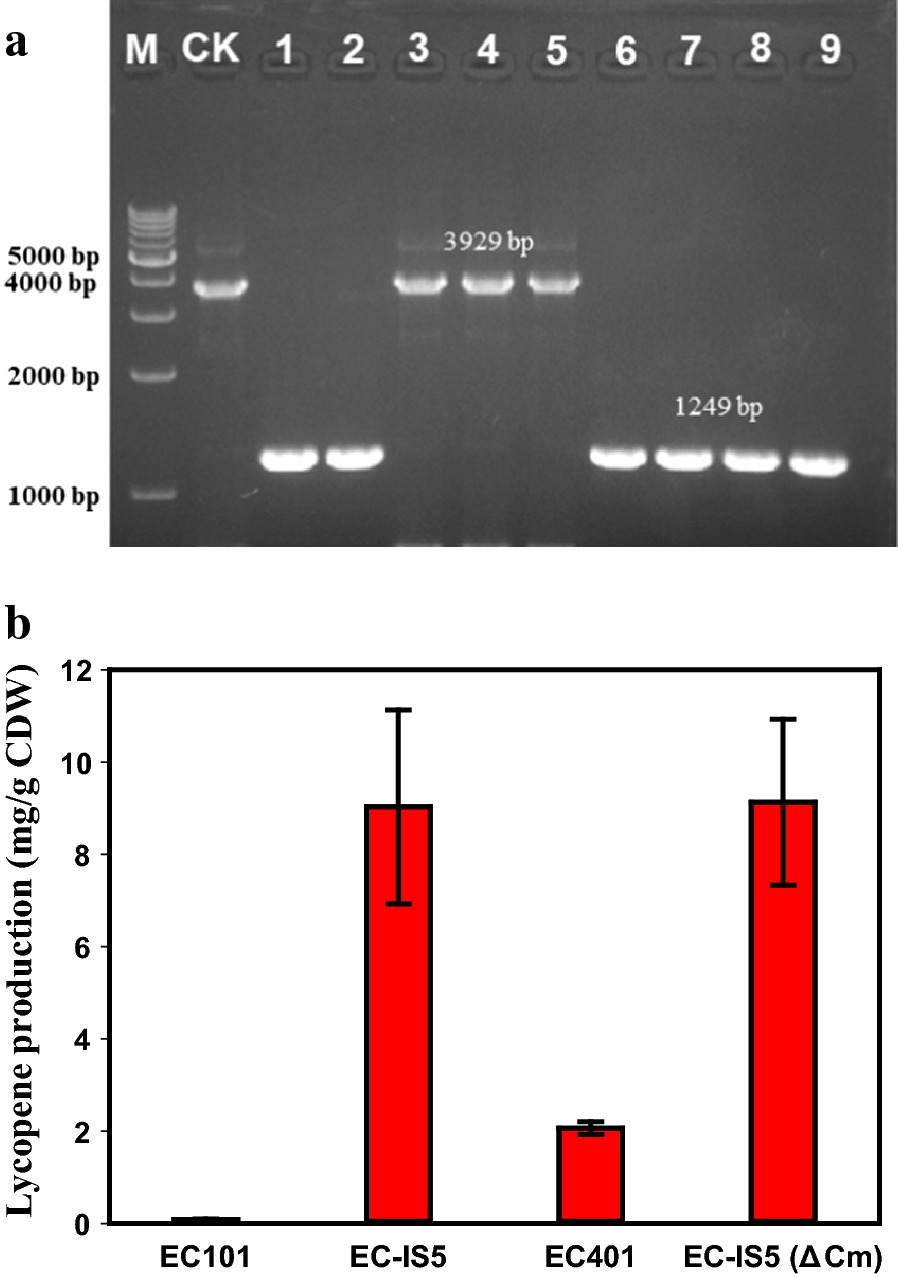 Fig. 5