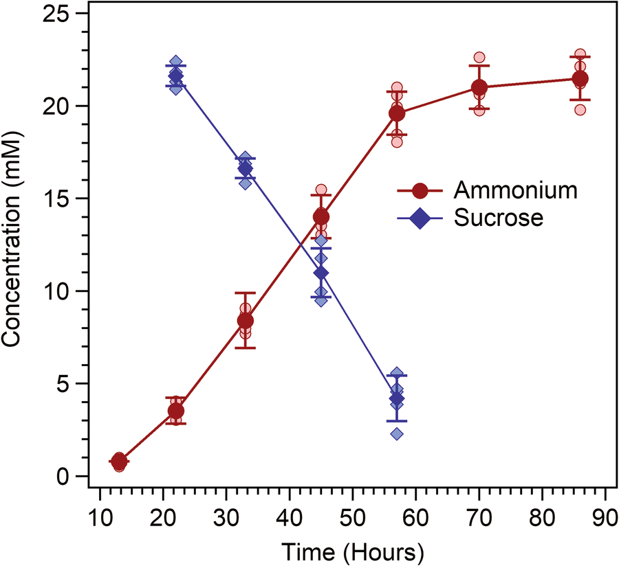 Fig. 6