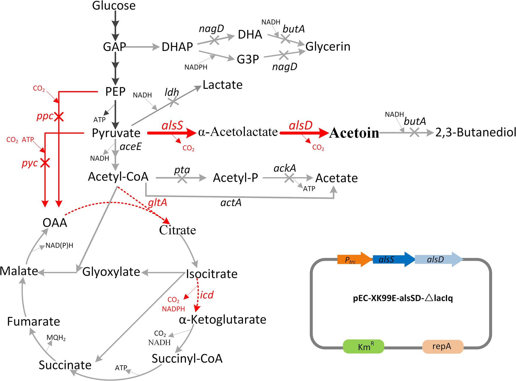 Fig. 1