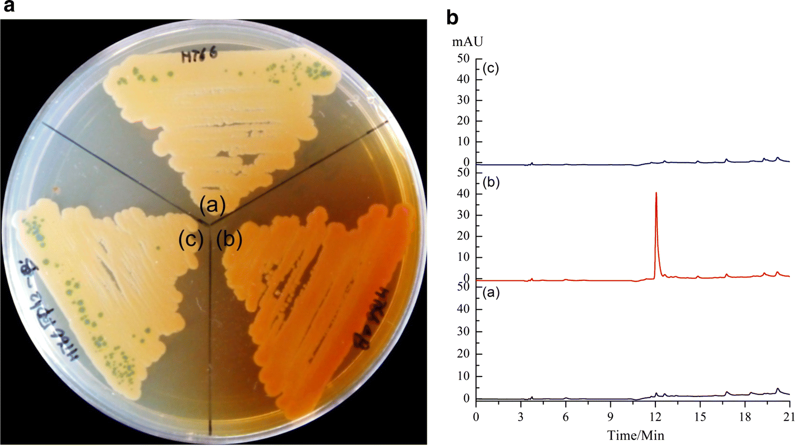 Fig. 1