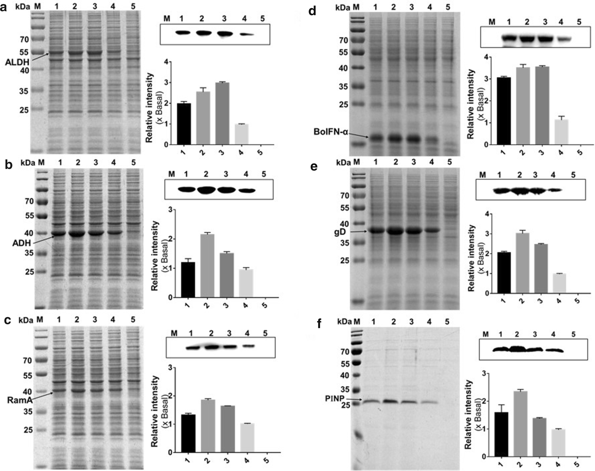 Fig. 4