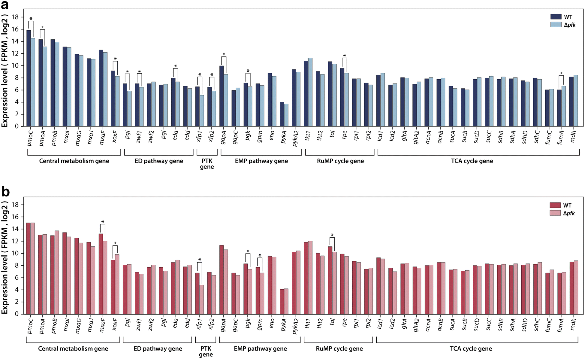 Fig. 2