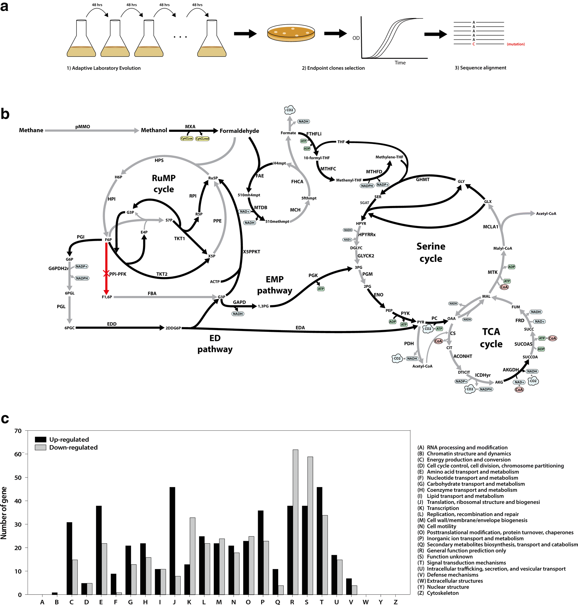 Fig. 3