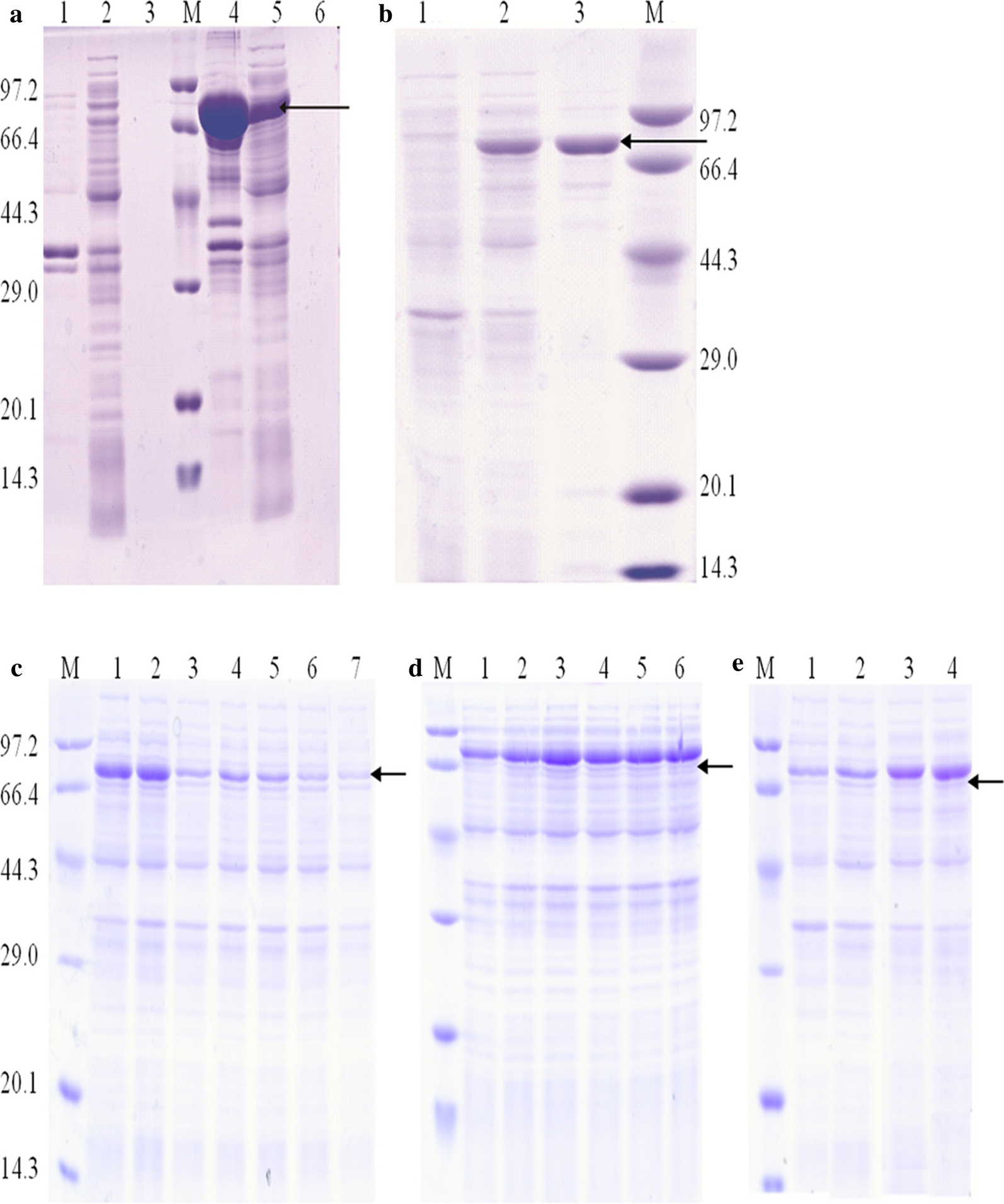 Fig. 7