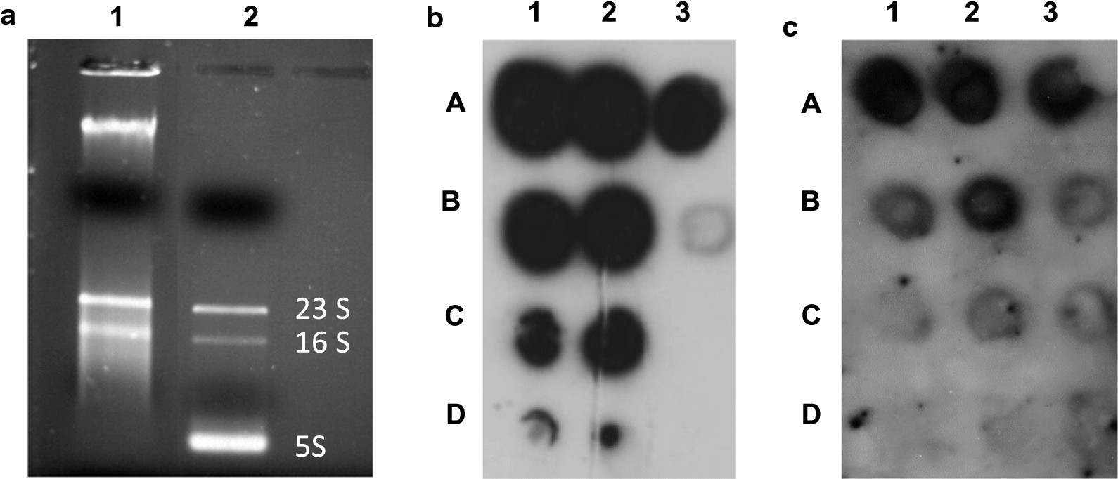 Fig. 4