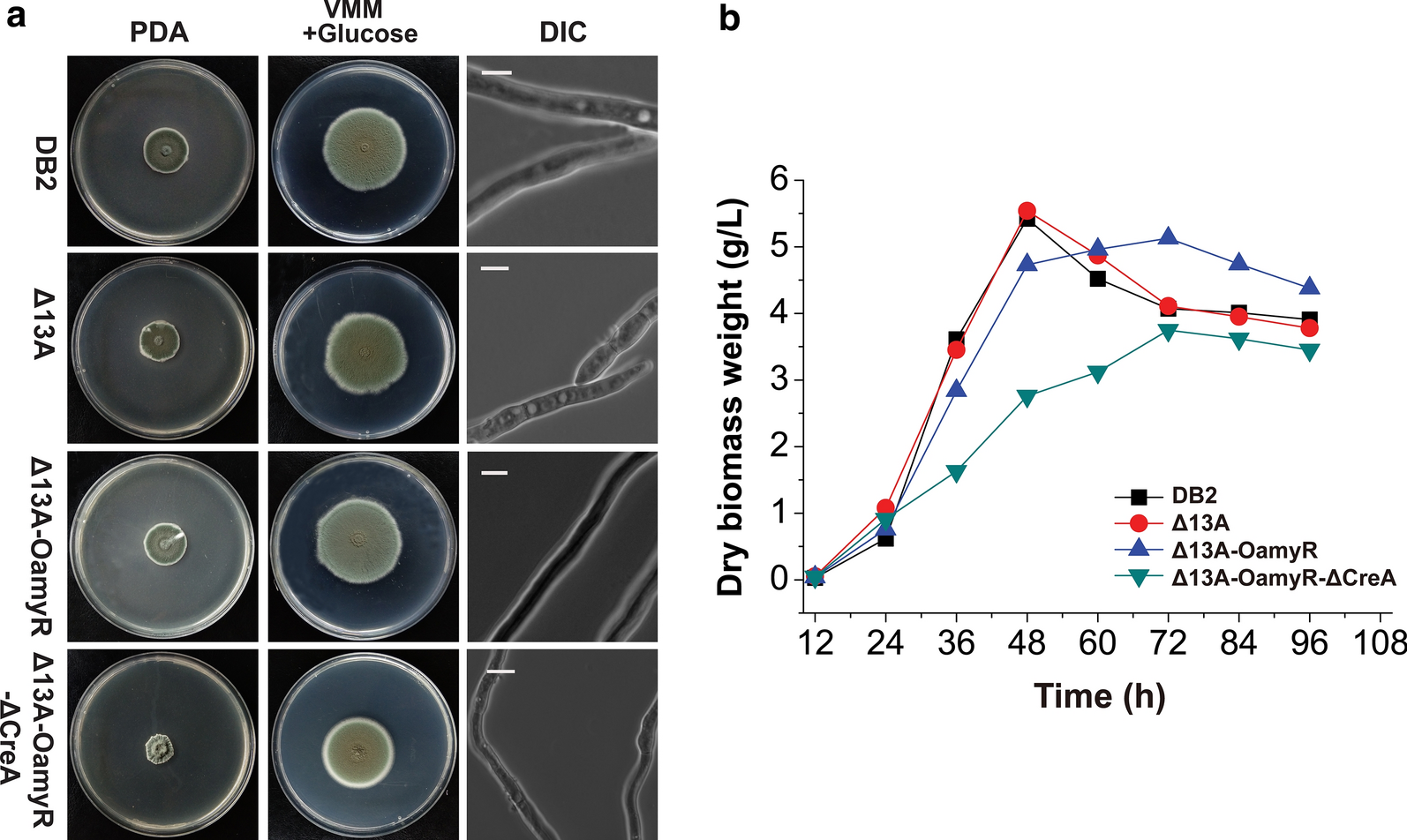 Fig. 4