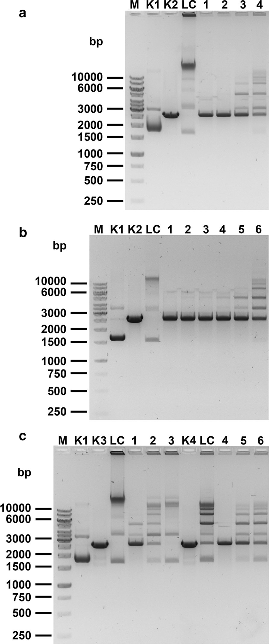 Fig. 3