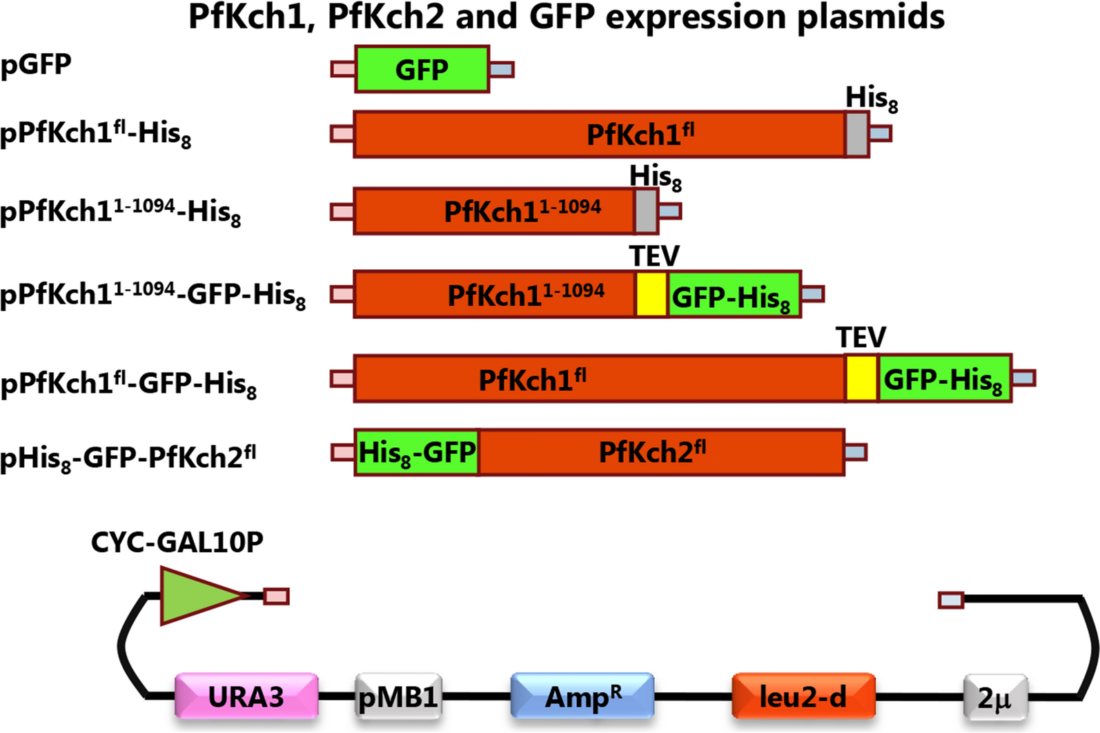 Fig. 2