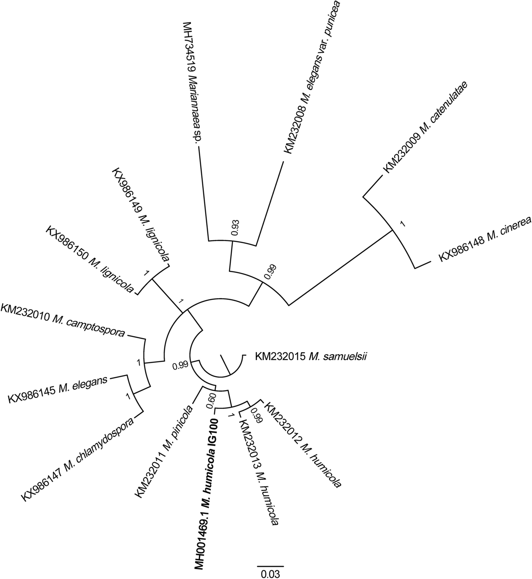 Fig. 1