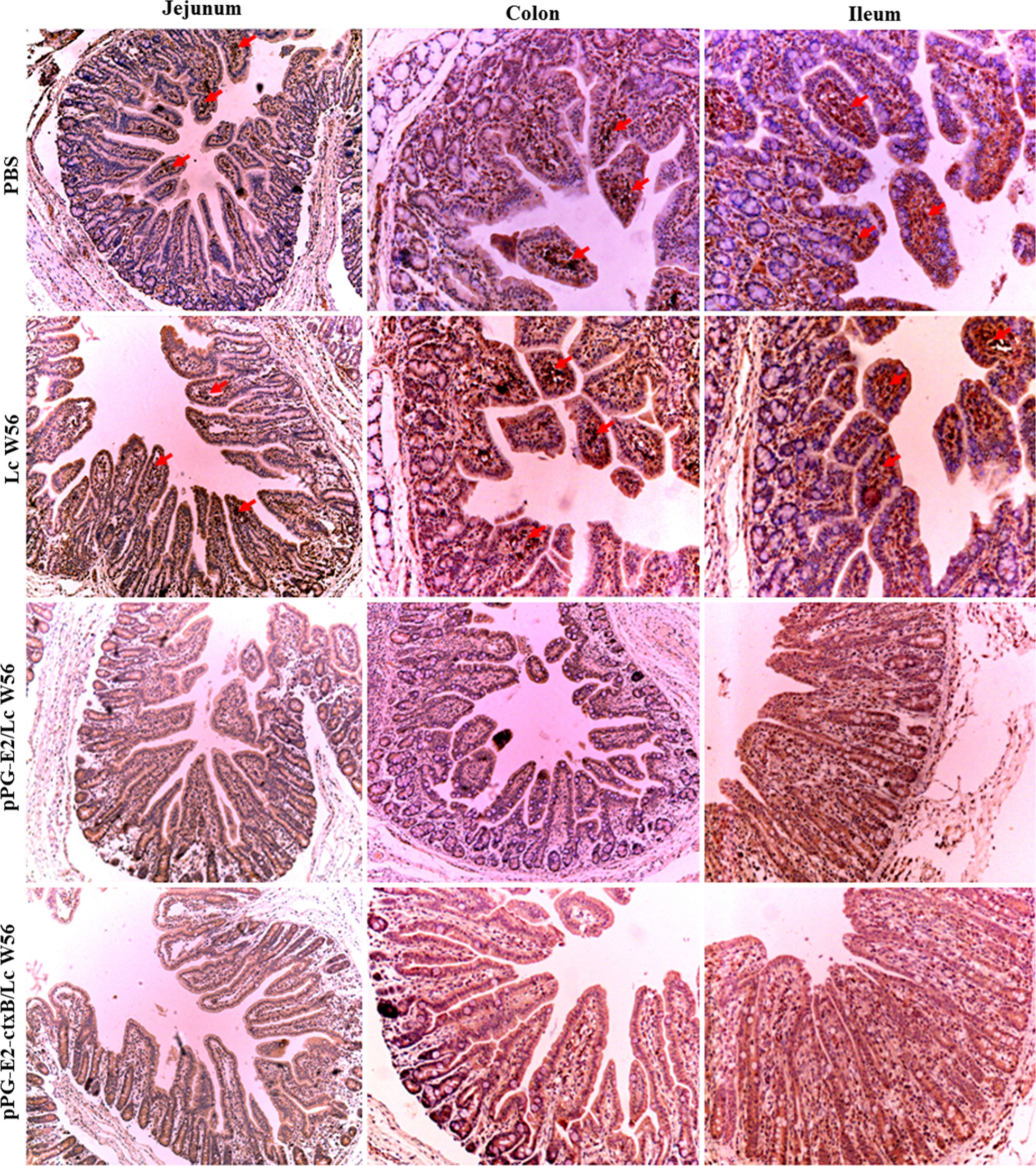 Fig. 10