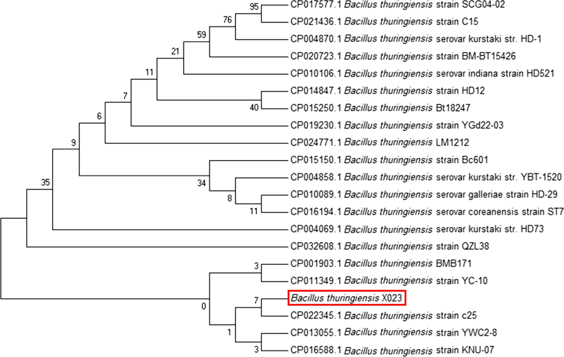 Fig. 2