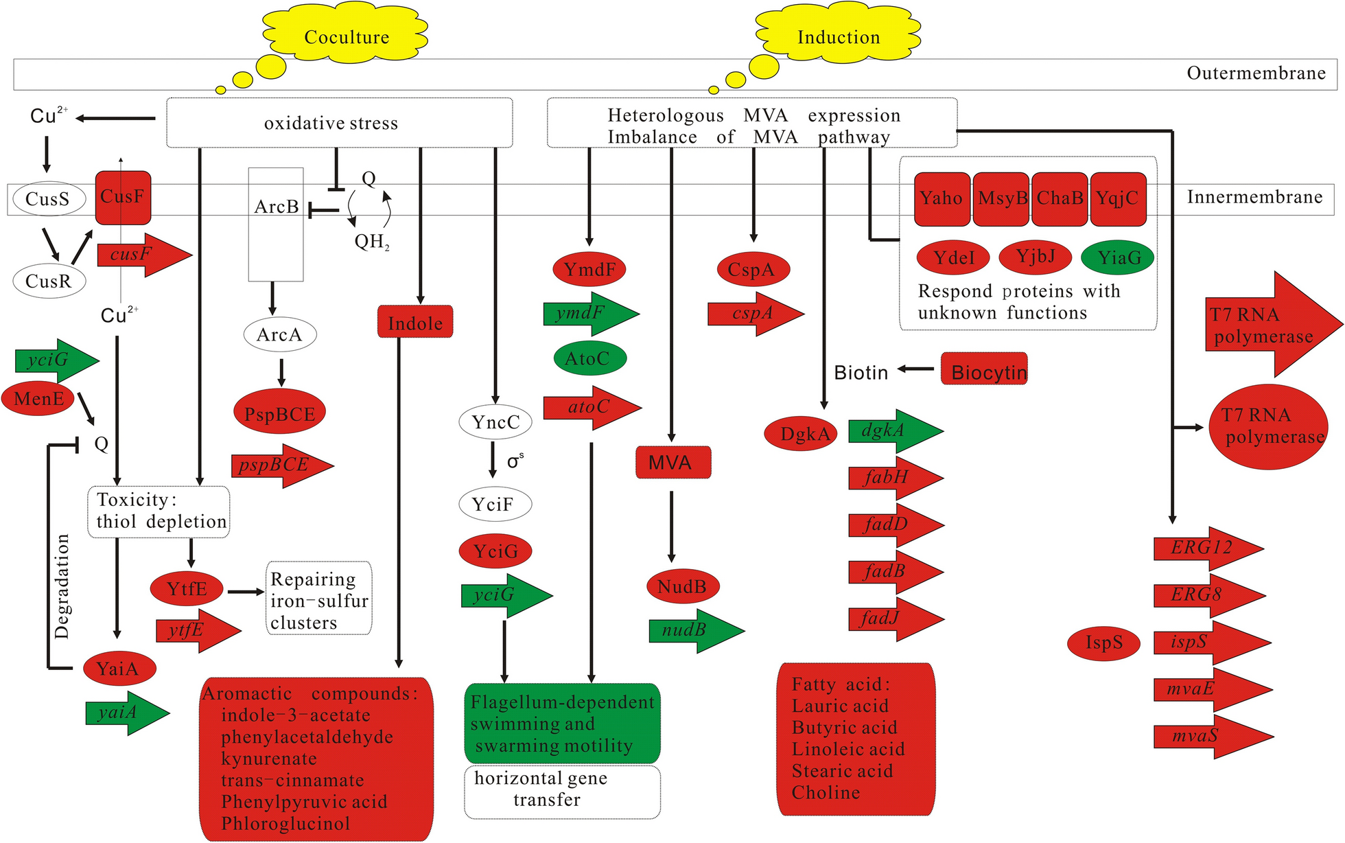 Fig. 6