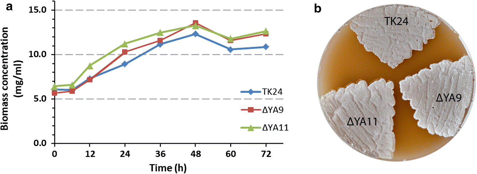 Fig. 2