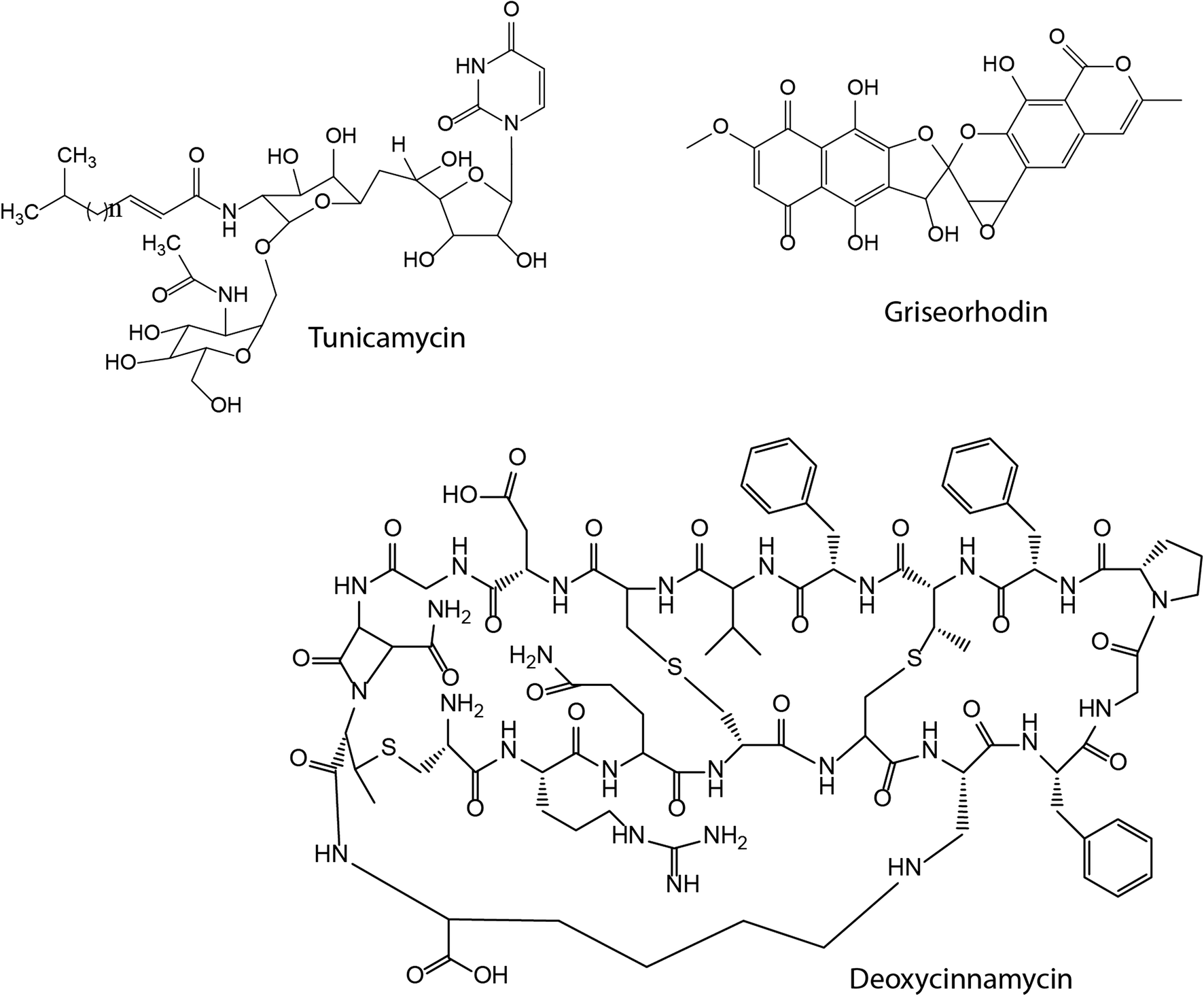 Fig. 3