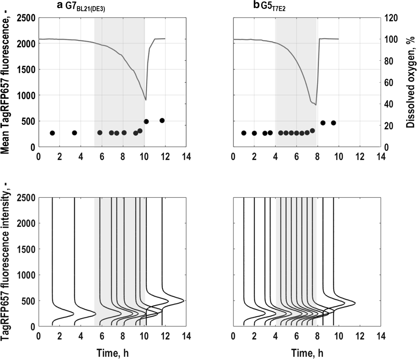 Fig. 4