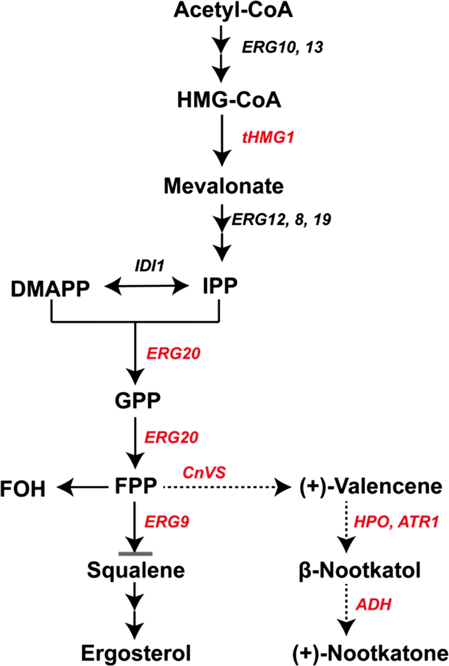 Fig. 1