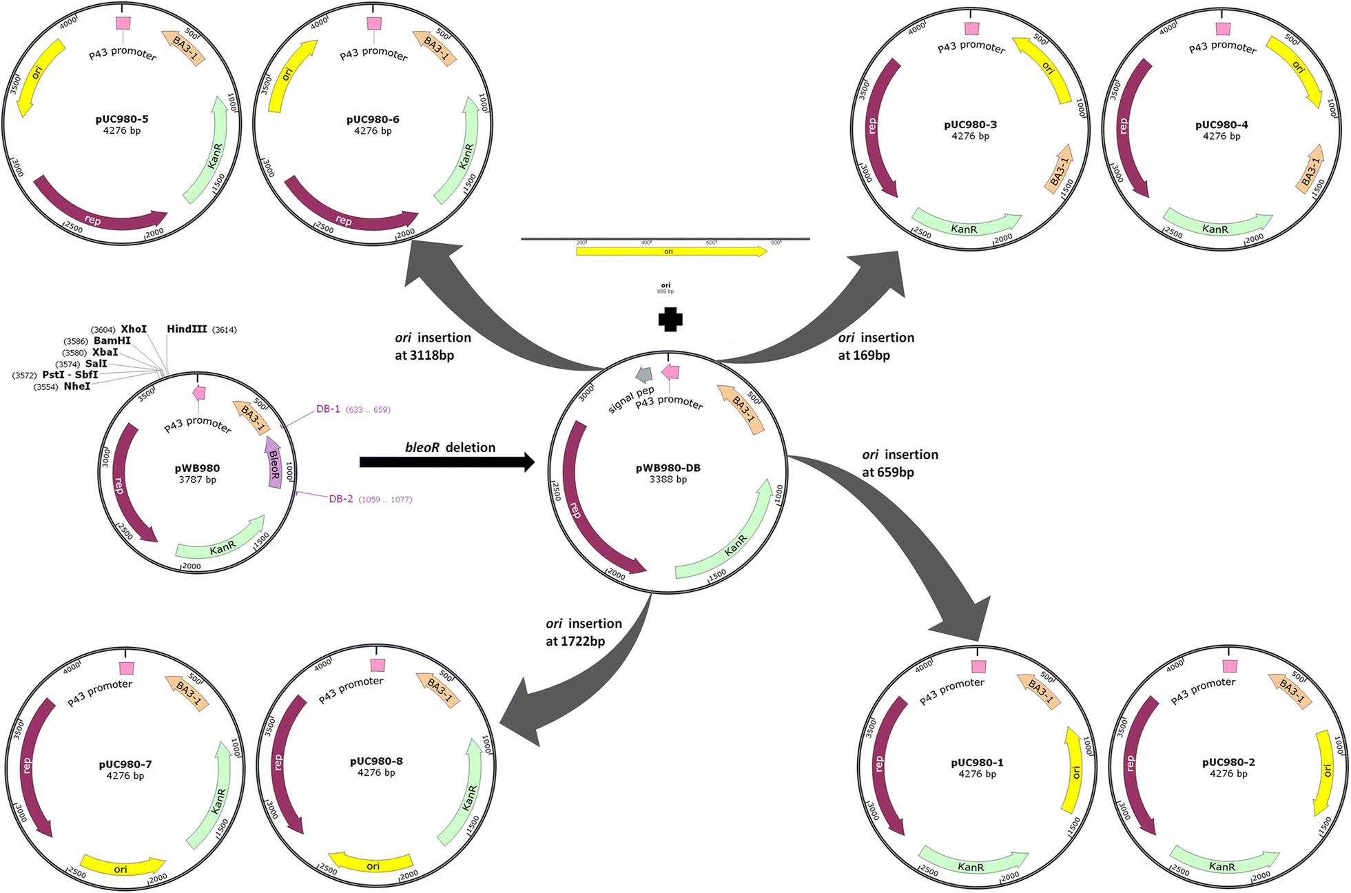 Fig. 1