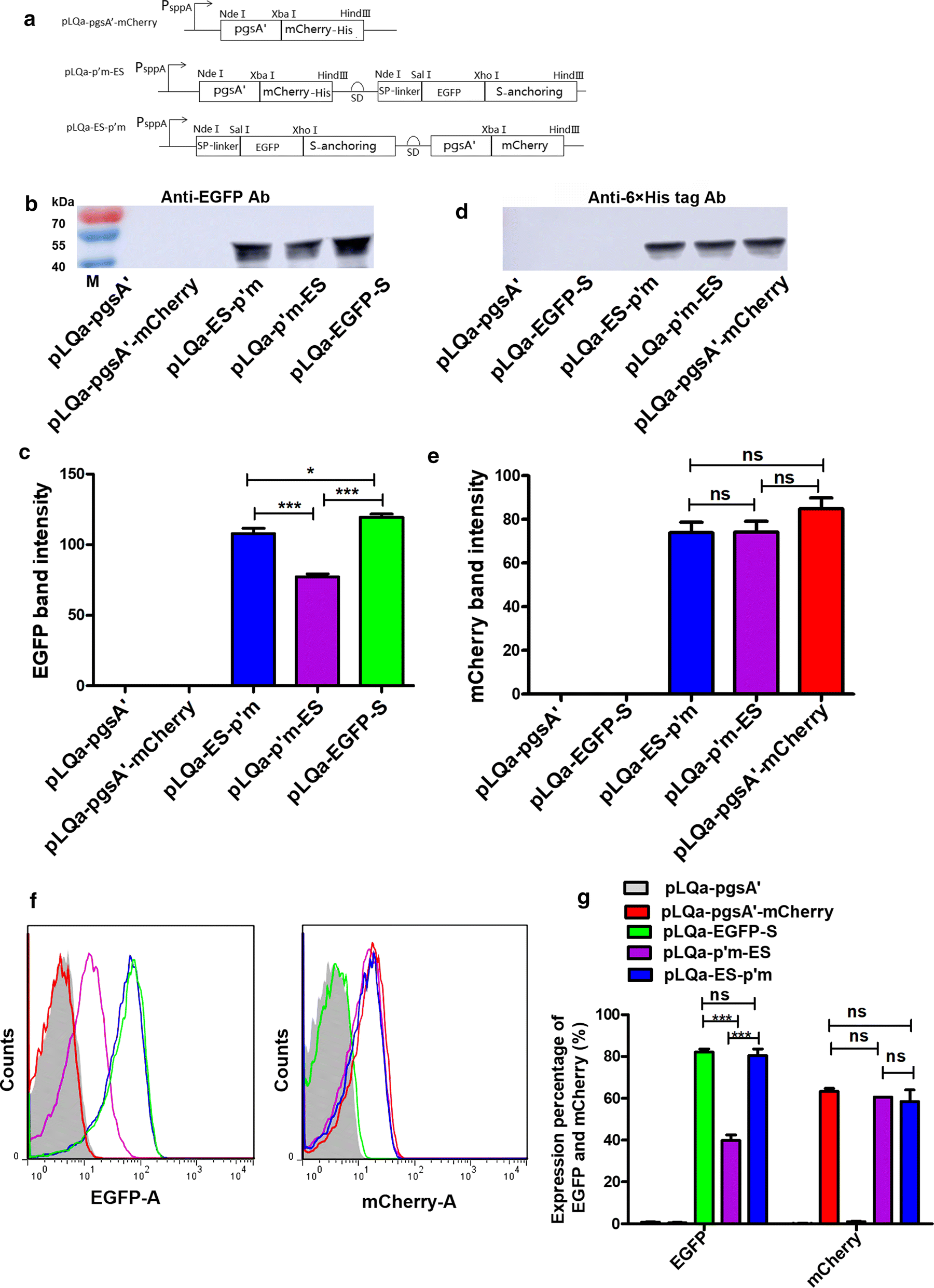 Fig. 4