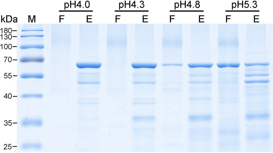 Fig. 5