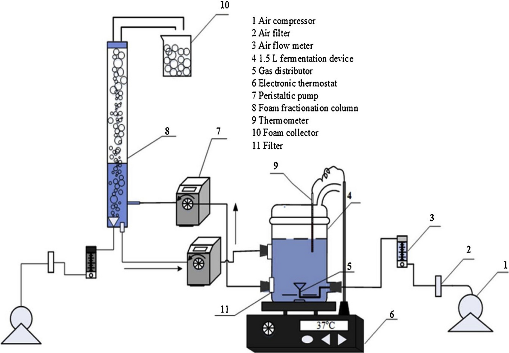 Fig. 2