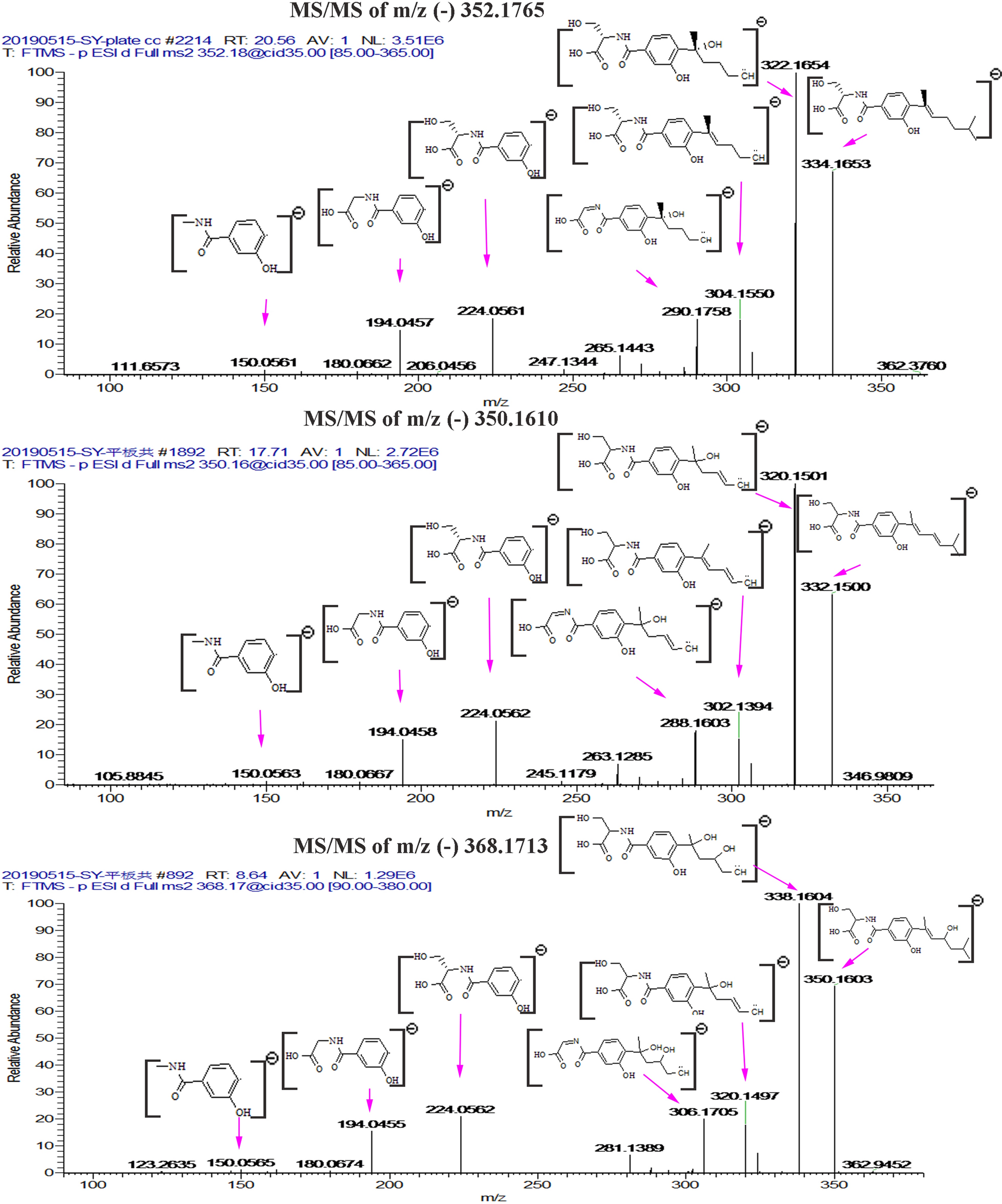 Fig. 8