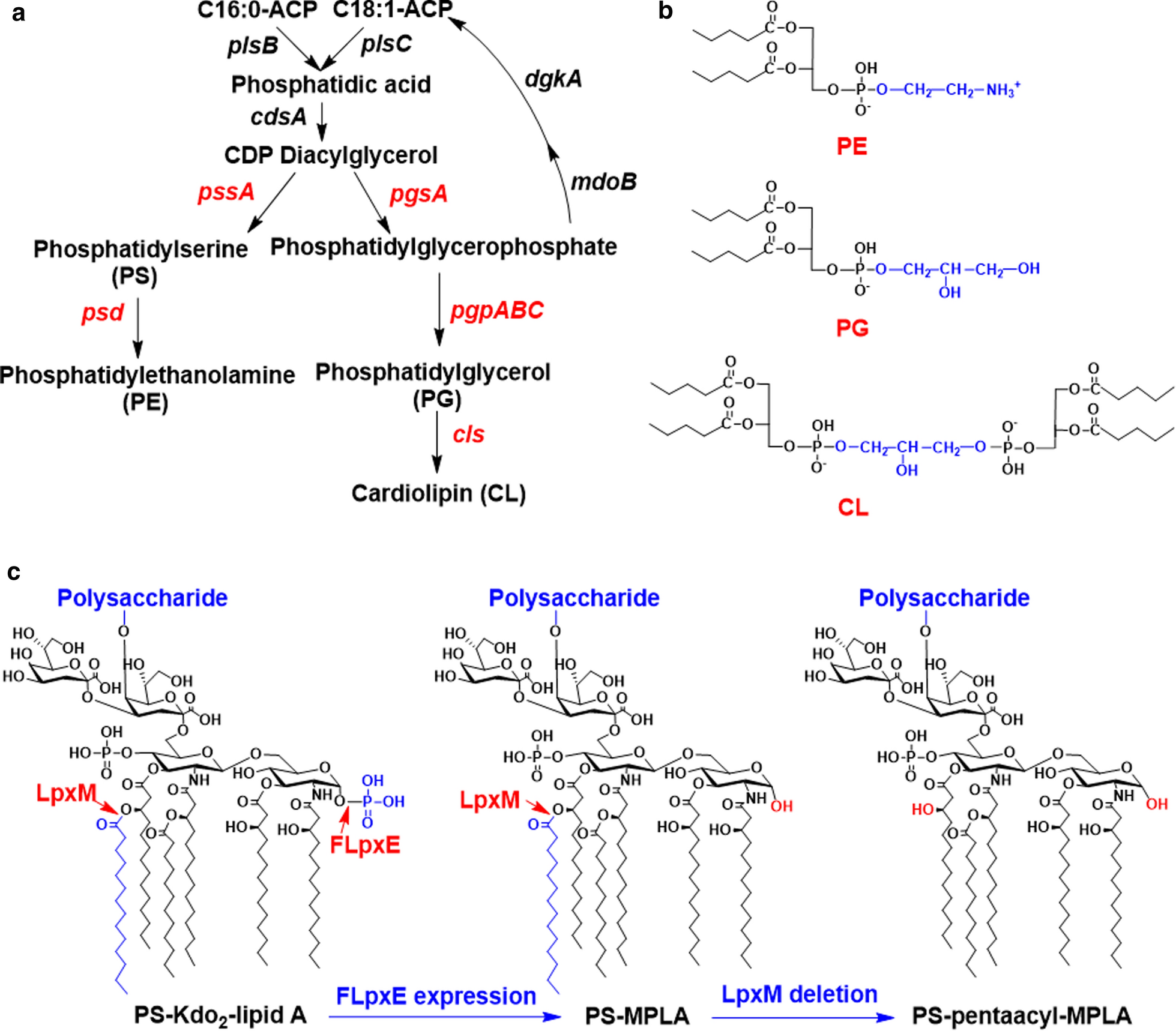 Fig. 3