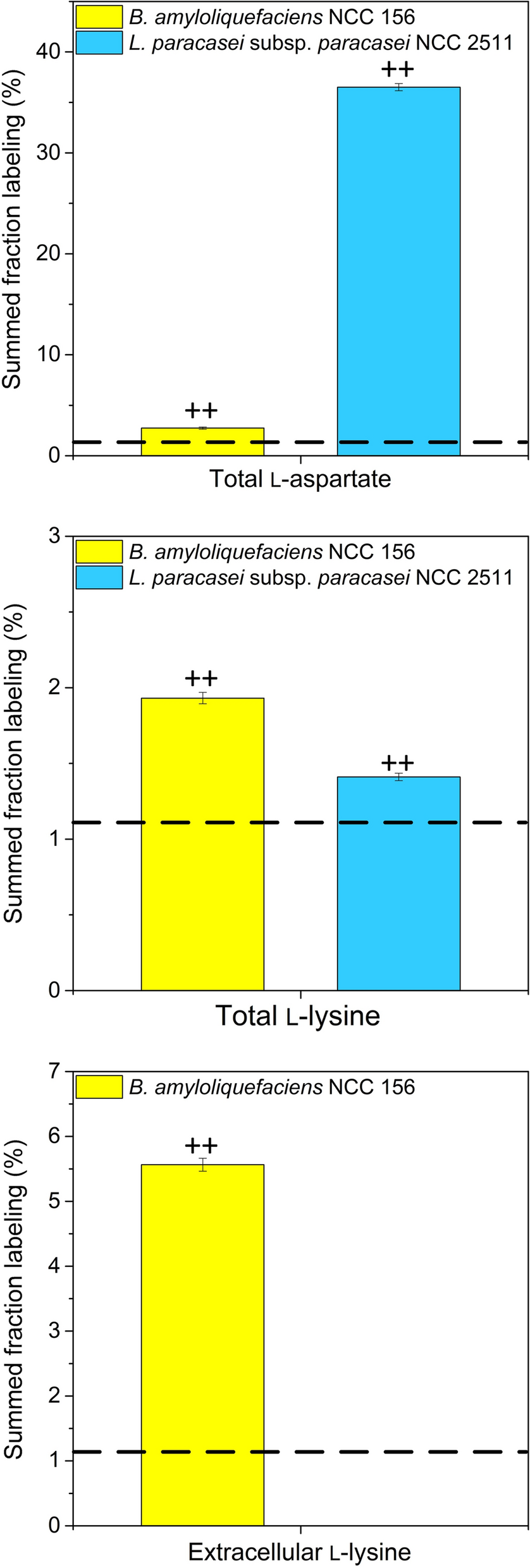 Fig. 8