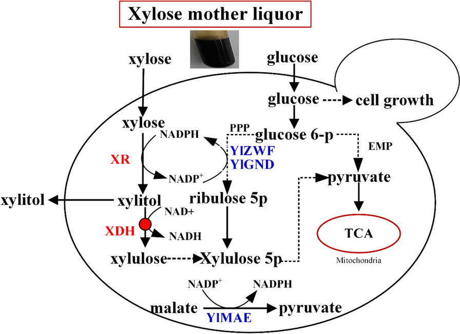 Fig. 1